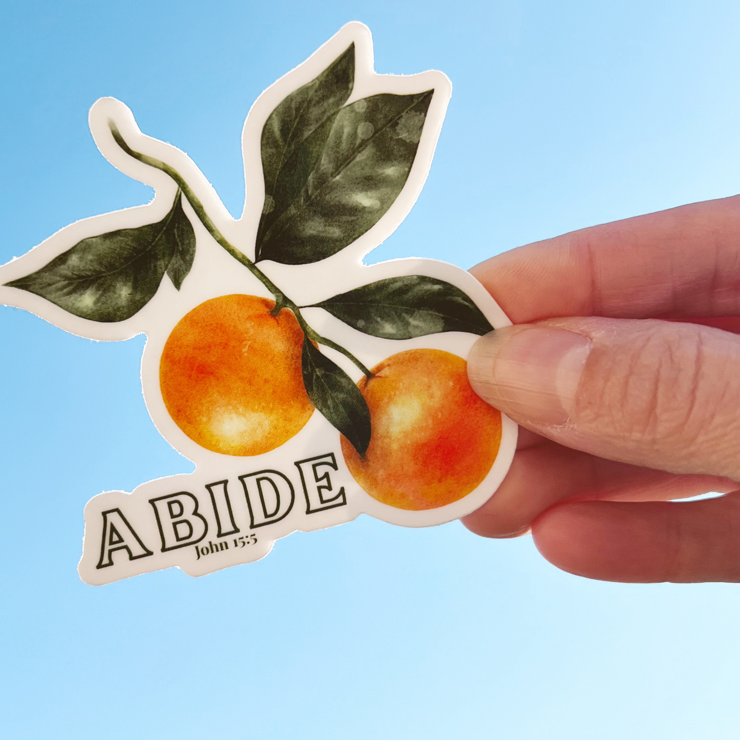 Abide Faith-based Sticker - Cross & Crown Designs